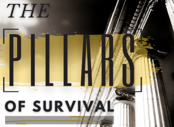 The 5 Pillars of Survival