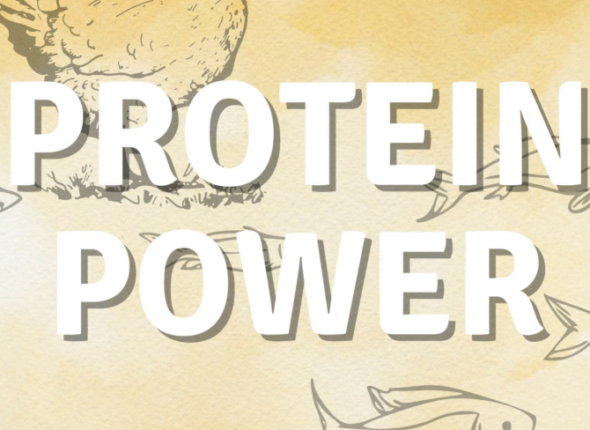 Protein Power